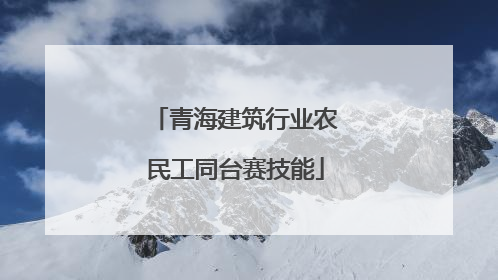 青海建筑行业农民工同台赛技能