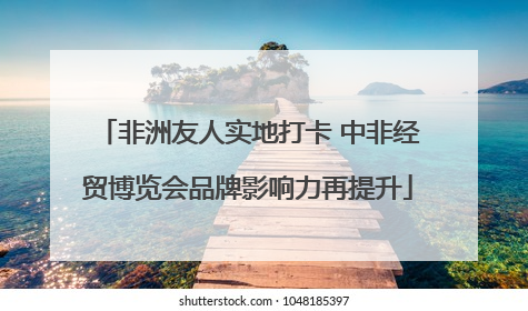 非洲友人实地打卡 中非经贸博览会品牌影响力再提升