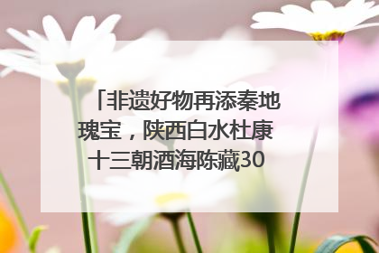 非遗好物再添秦地瑰宝，陕西白水杜康十三朝酒海陈藏30年别具一格