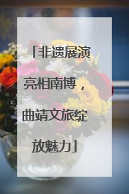 非遗展演亮相南博，曲靖文旅绽放魅力