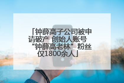 钟薛高子公司被申请破产 创始人账号“钟薛高老林”粉丝仅1800余人