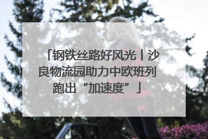 钢铁丝路好风光丨沙良物流园助力中欧班列跑出“加速度”