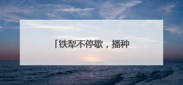 铁犁不停歇，播种新希望——山东“三夏”抢收抢种忙