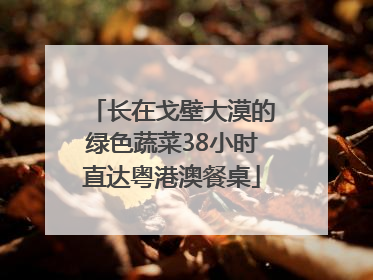 长在戈壁大漠的绿色蔬菜38小时直达粤港澳餐桌