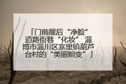 门前屋后“净脸” 道路街巷“化妆” 淄博市淄川区寨里镇葫芦台村的“美丽嬗变”