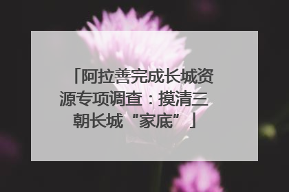 阿拉善完成长城资源专项调查：摸清三朝长城“家底”