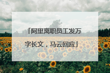 阿里离职员工发万字长文，马云回应
