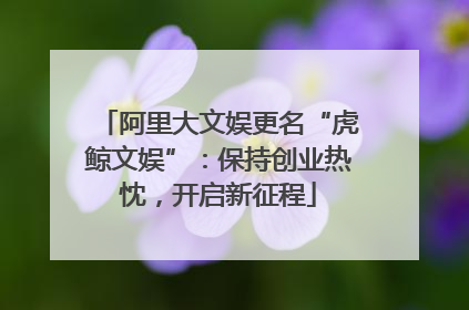 阿里大文娱更名“虎鲸文娱”：保持创业热忱，开启新征程