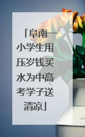 阜南一小学生用压岁钱买水为中高考学子送清凉
