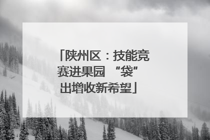 陕州区：技能竞赛进果园 “袋”出增收新希望
