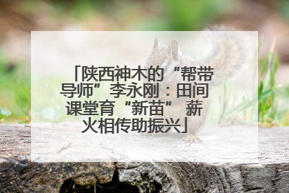 陕西神木的“帮带导师”李永刚：田间课堂育“新苗” 薪火相传助振兴