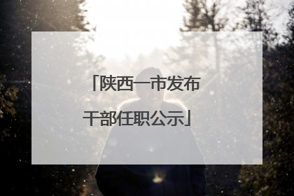 陕西一市发布干部任职公示