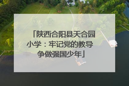 陕西合阳县天合园小学：牢记党的教导 争做强国少年