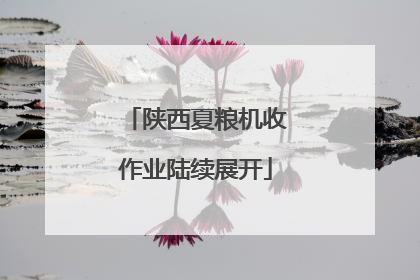 陕西夏粮机收作业陆续展开