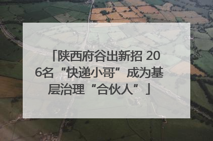 陕西府谷出新招 206名“快递小哥”成为基层治理“合伙人”