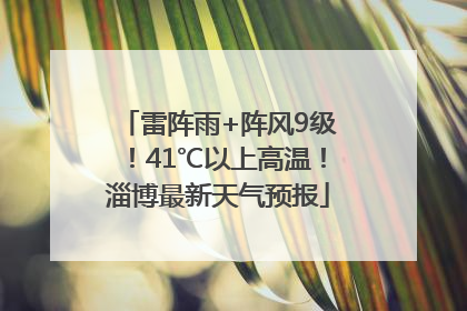 雷阵雨+阵风9级！41℃以上高温！淄博最新天气预报