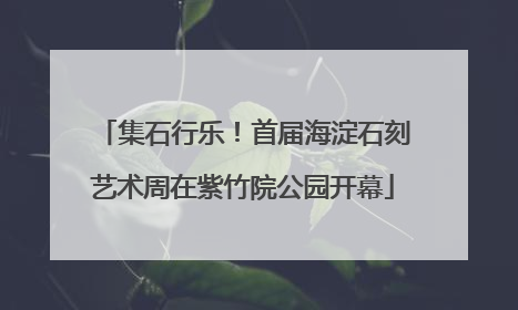 集石行乐！首届海淀石刻艺术周在紫竹院公园开幕