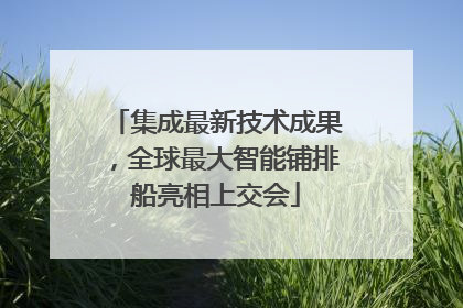 集成最新技术成果，全球最大智能铺排船亮相上交会