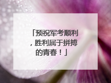 预祝军考顺利，胜利属于拼搏的青春！