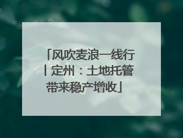 风吹麦浪一线行丨定州：土地托管带来稳产增收