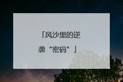 风沙里的逆袭“密码”