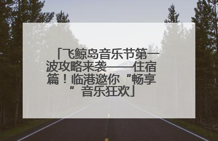 飞鲸岛音乐节第一波攻略来袭——住宿篇！临港邀你“畅享”音乐狂欢