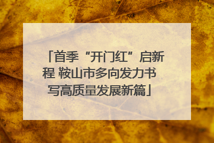 首季“开门红”启新程 鞍山市多向发力书写高质量发展新篇