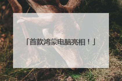 首款鸿蒙电脑亮相！