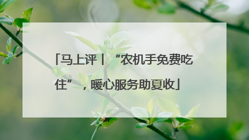 马上评丨“农机手免费吃住”，暖心服务助夏收