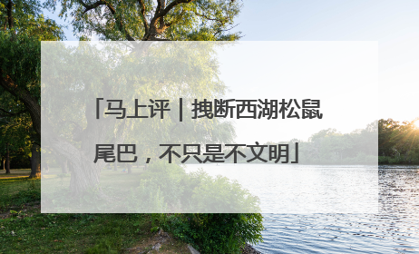 马上评｜拽断西湖松鼠尾巴，不只是不文明