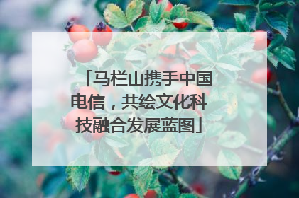 马栏山携手中国电信，共绘文化科技融合发展蓝图