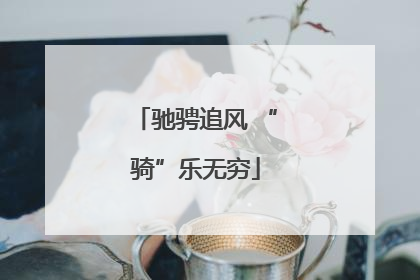 驰骋追风 “骑”乐无穷