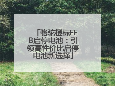 骆驼橙标EFB启停电池：引领高性价比启停电池新选择