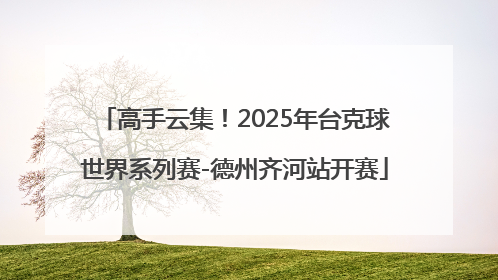高手云集！2025年台克球世界系列赛-德州齐河站开赛
