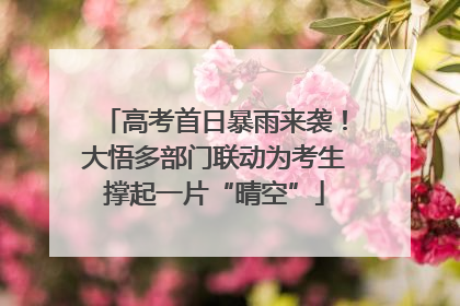 高考首日暴雨来袭！大悟多部门联动为考生撑起一片“晴空”