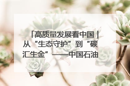 高质量发展看中国｜从“生态守护”到“碳汇生金”——中国石油大庆油田绿色蝶变