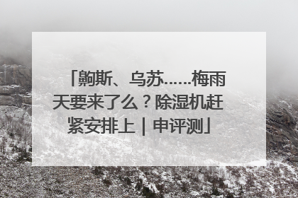 齁斯、乌苏……梅雨天要来了么？除湿机赶紧安排上｜申评测