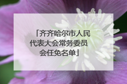 齐齐哈尔市人民代表大会常务委员会任免名单