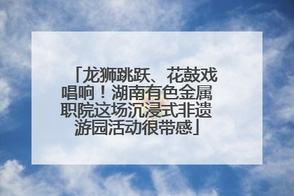 龙狮跳跃、花鼓戏唱响！湖南有色金属职院这场沉浸式非遗游园活动很带感