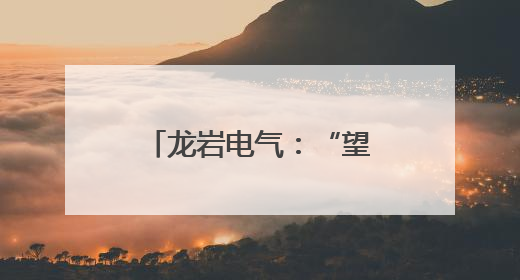 龙岩电气：“望闻问切”查隐患 精检精修保安全