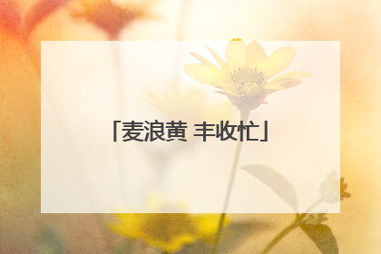 麦浪黄 丰收忙