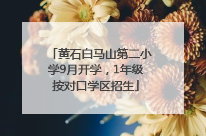 黄石白马山第二小学9月开学，1年级按对口学区招生