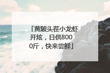 黄陂头茬小龙虾开炫，日供8000斤，快来尝鲜