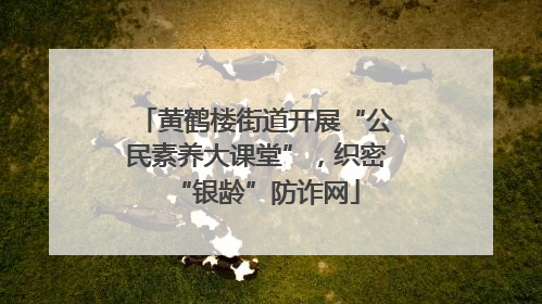 黄鹤楼街道开展“公民素养大课堂”，织密“银龄”防诈网