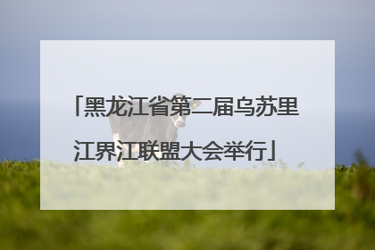 黑龙江省第二届乌苏里江界江联盟大会举行