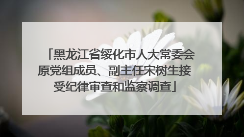 黑龙江省绥化市人大常委会原党组成员、副主任宋树生接受纪律审查和监察调查