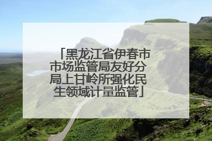 黑龙江省伊春市市场监管局友好分局上甘岭所强化民生领域计量监管