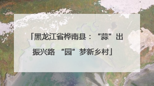 黑龙江省桦南县：“蒜”出振兴路 “园”梦新乡村