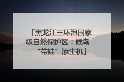 黑龙江三环泡国家级自然保护区：候鸟“带娃”添生机