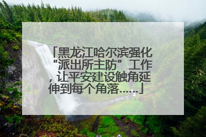 黑龙江哈尔滨强化“派出所主防”工作，让平安建设触角延伸到每个角落……